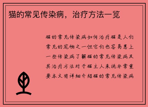 猫的常见传染病，治疗方法一览