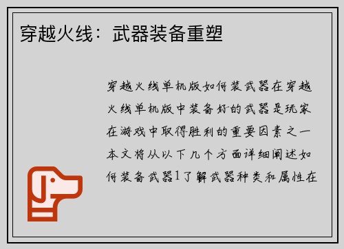 穿越火线：武器装备重塑
